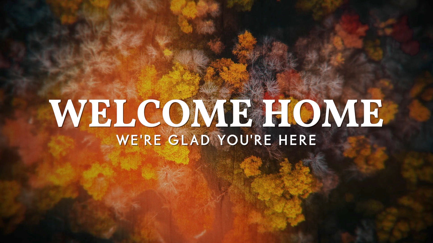 Aerial Journey Welcome Back Still