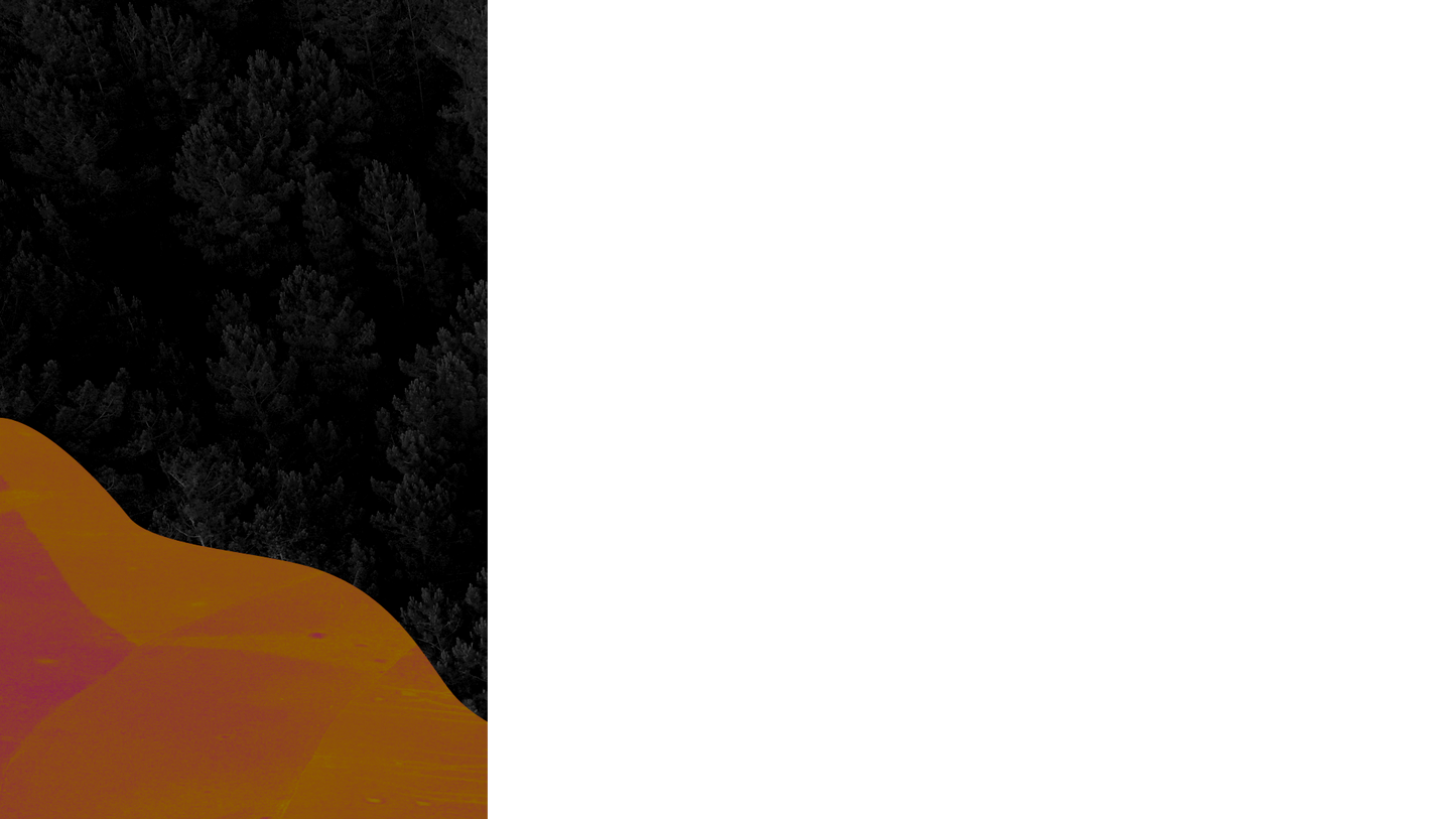 Vibrant Nature B Lower Third Left Blank