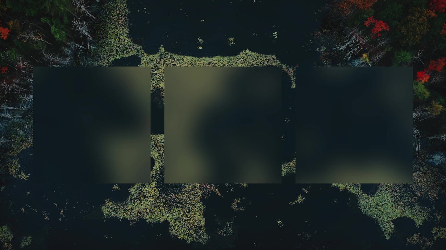 Autumn Colors Pond Alt