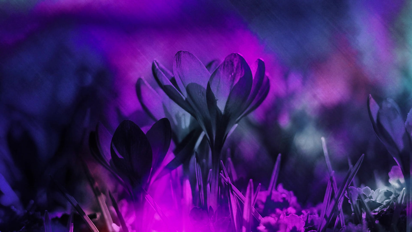 Painted Flowers 07