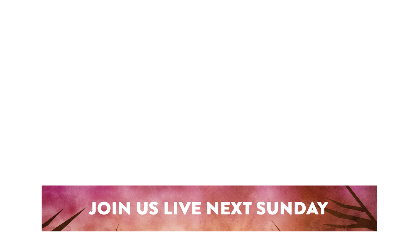 Bright Palm Sunday Lower Third Next Sunday