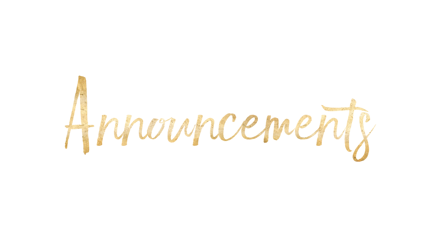 Snowy Night Announcements