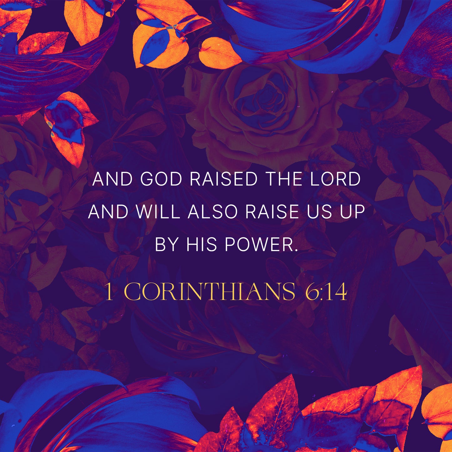 1 Corinthians 6:14