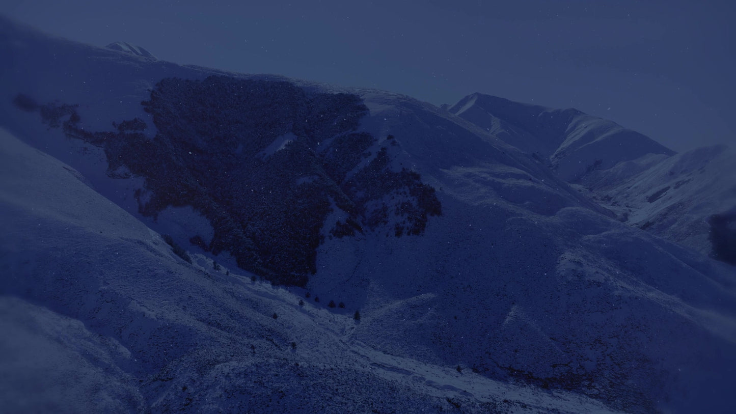 Shift Deep Winter 8 Tint