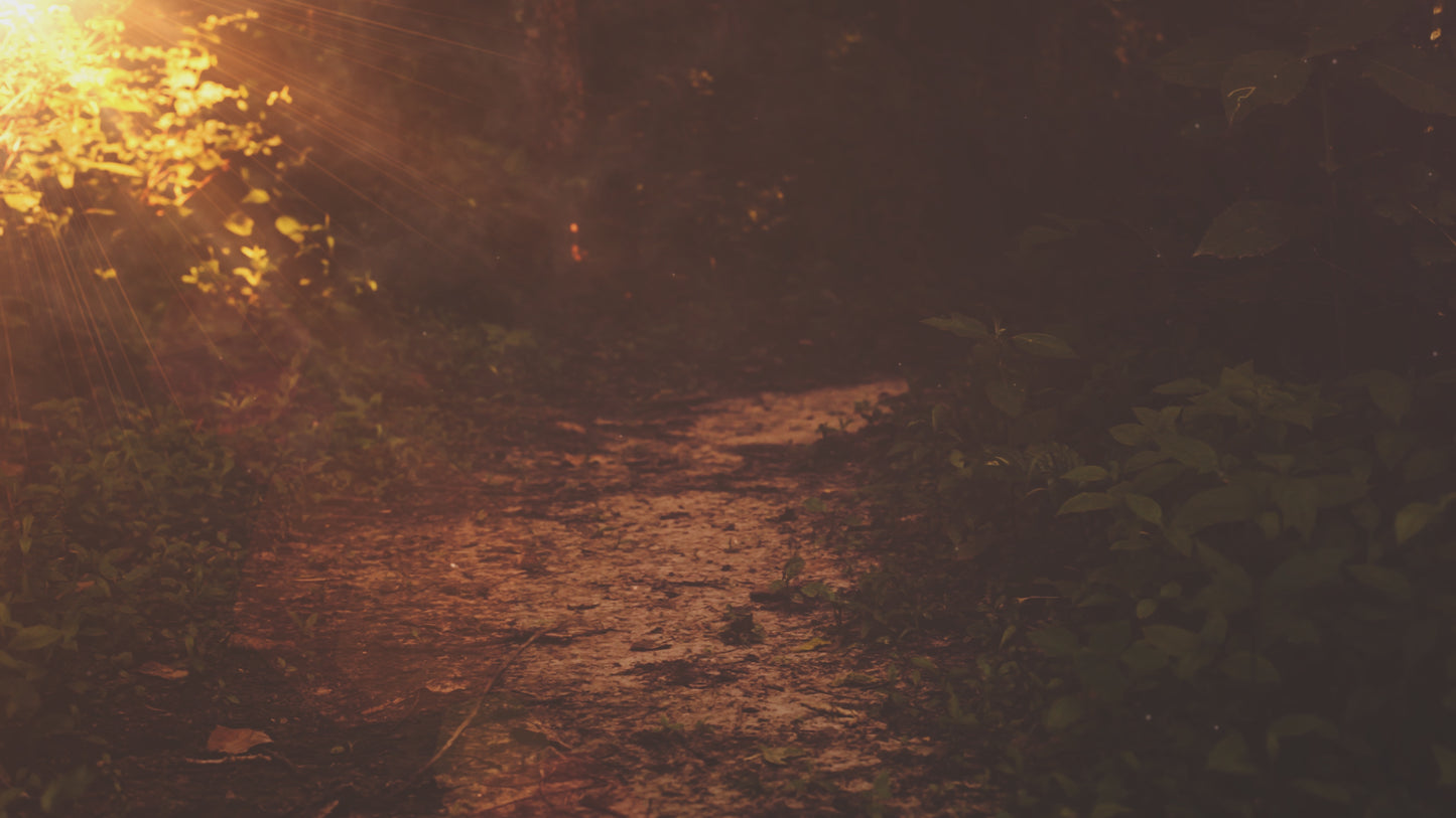 Summer Light Path