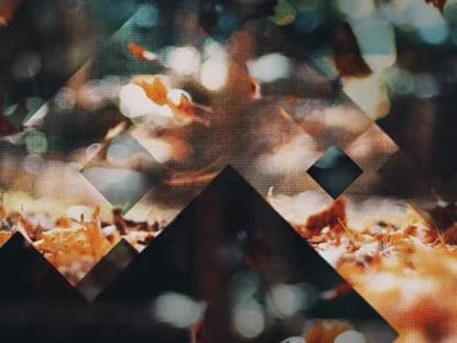 Rustic Autumn 9