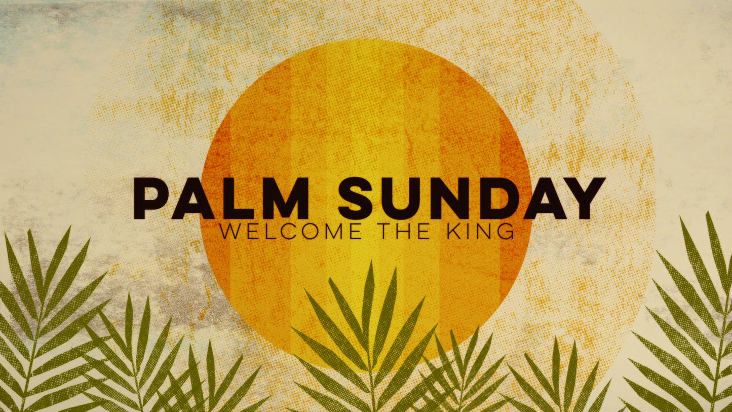 Textured Palms Title 02 Still