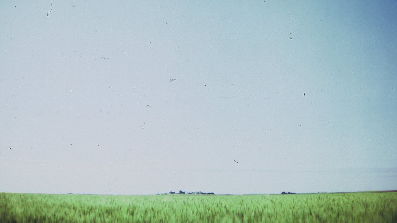 Film Field Blank