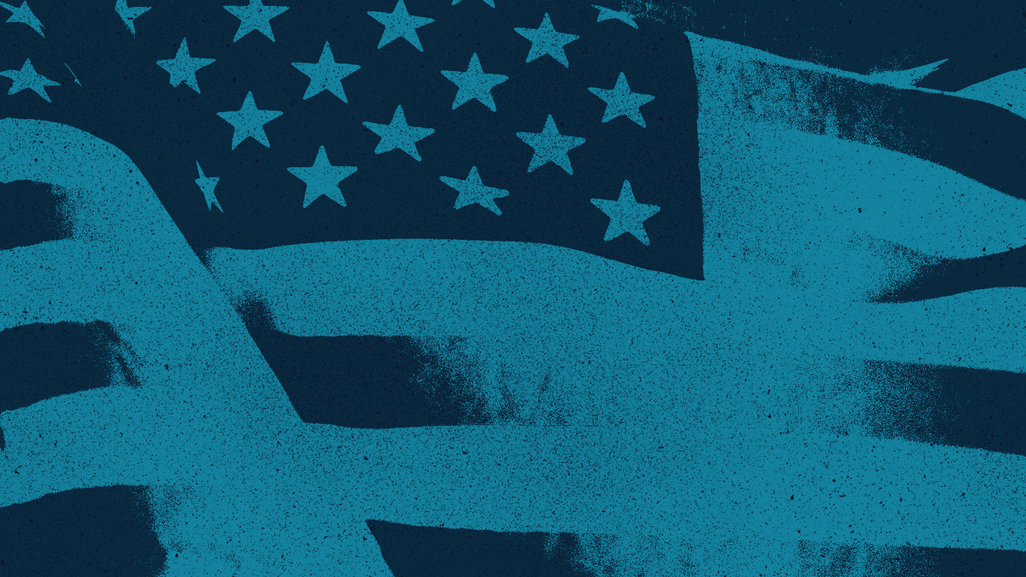 Veterans Day Blue Flag