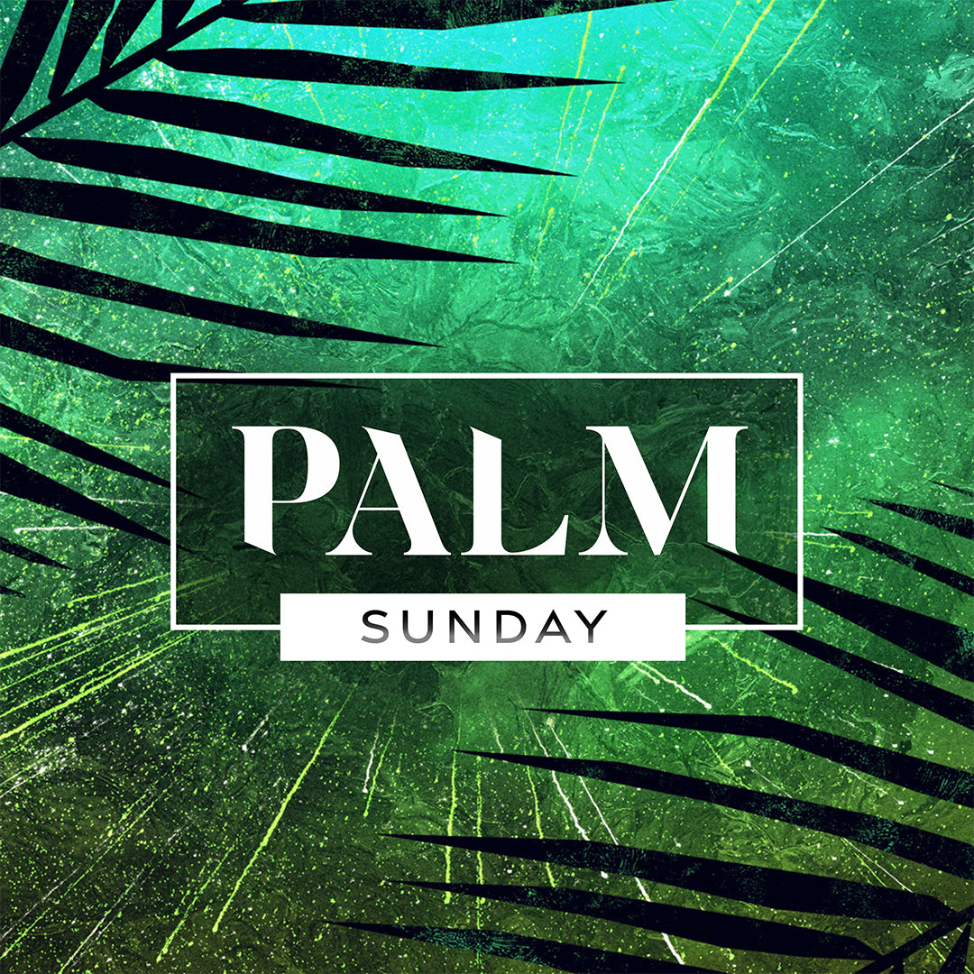 Palm Sunday Vivid Palm Sunday