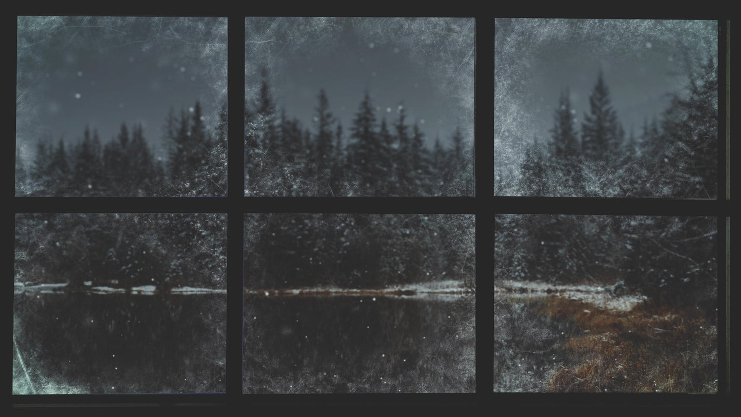 Christmas Windows 5