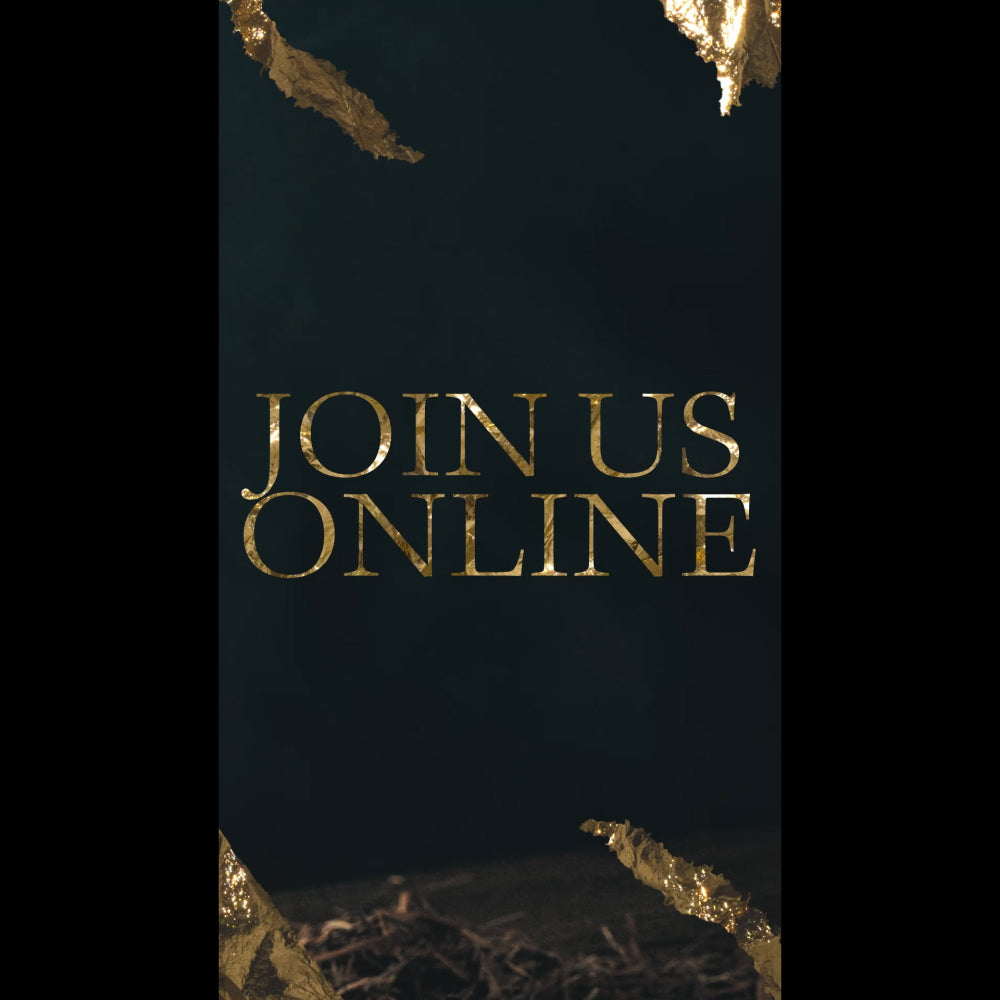 Nativity Manger Online Reel