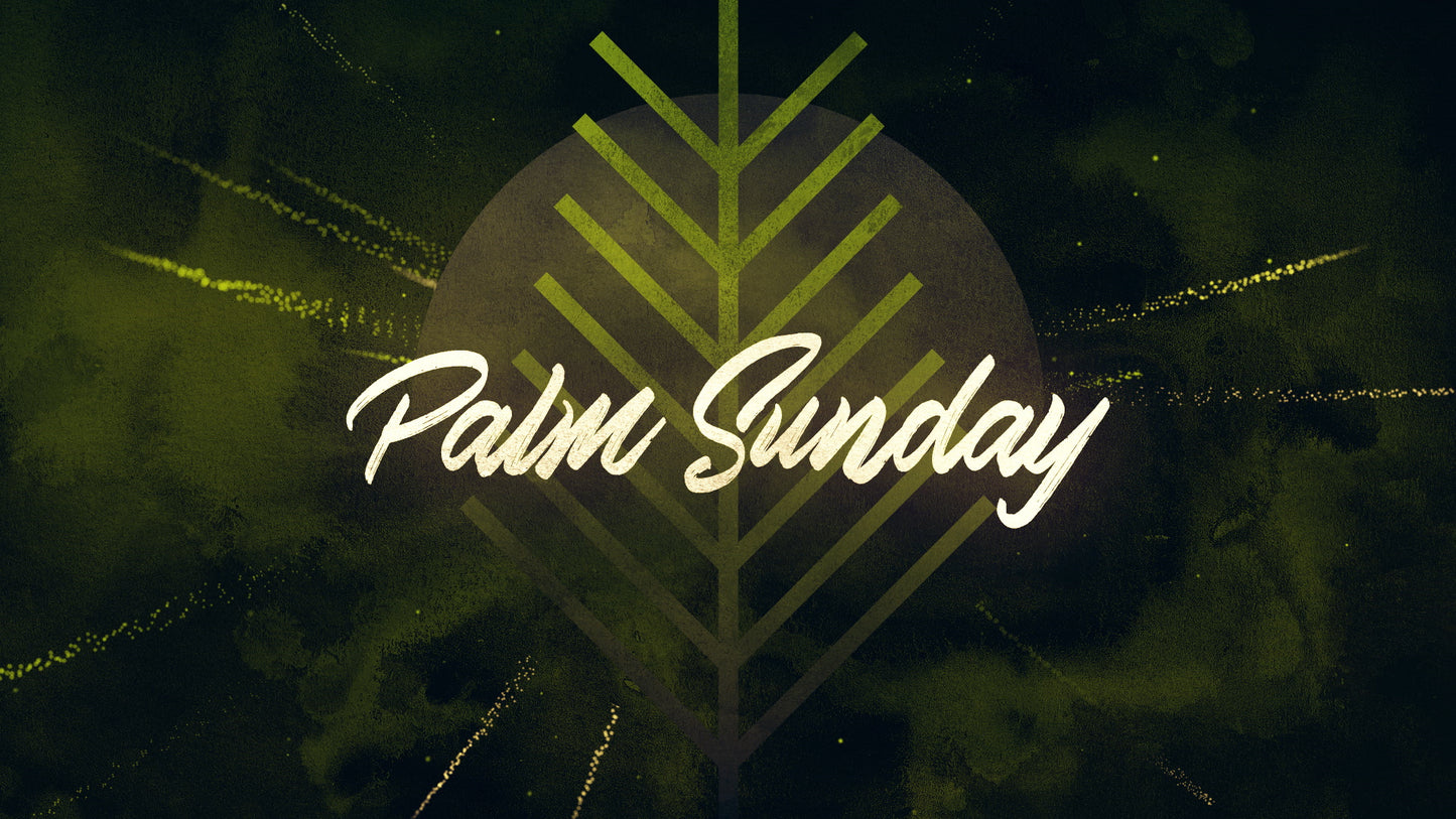 Particle Rays Palm Sunday Title Still