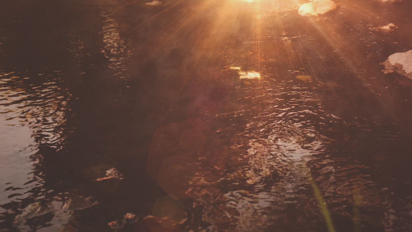 Summer Light Ripples