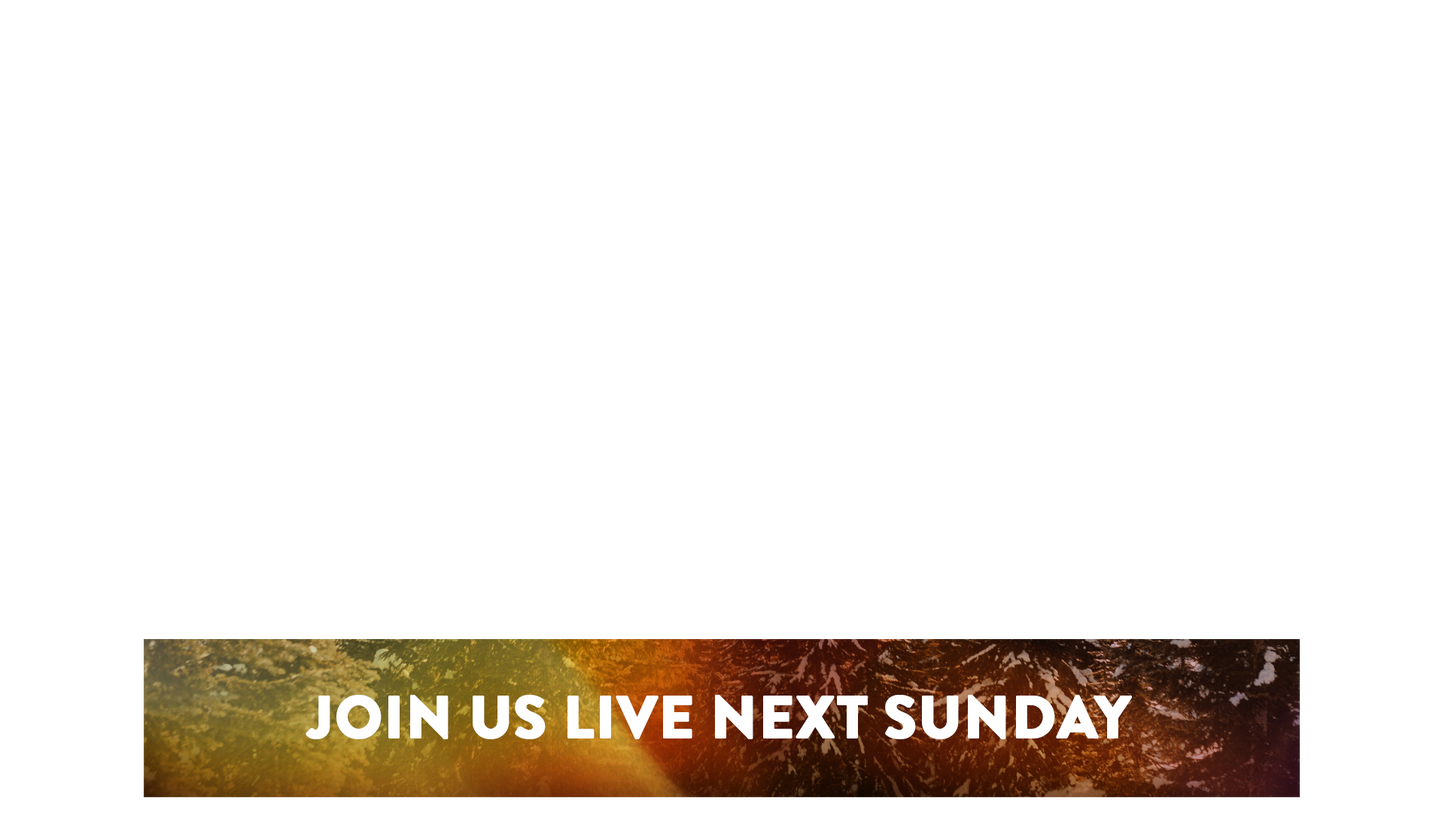 Christmas Light Lower Third Next Sunday