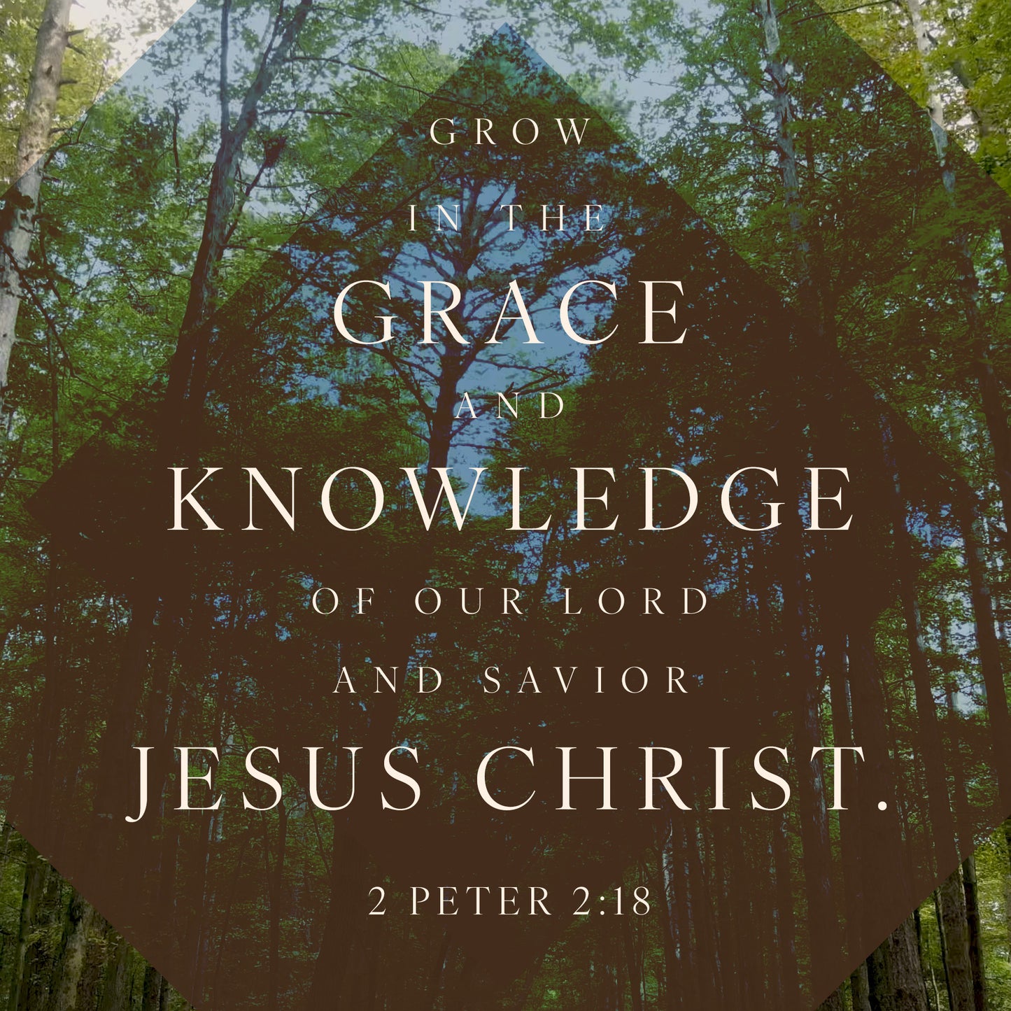 The Forest Grow in Grace Scripture