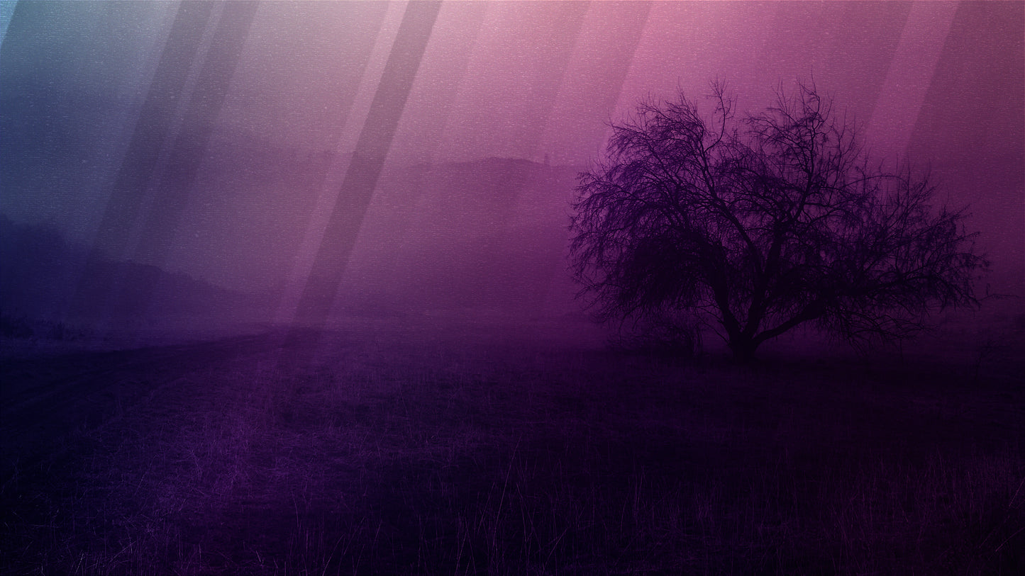 Autumn Mist 6 Still