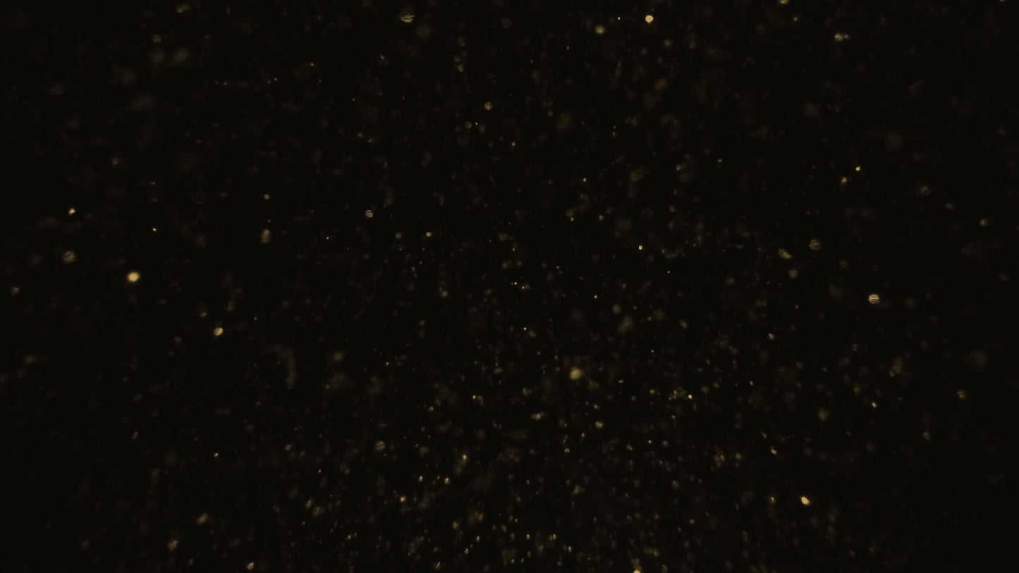 Christmas Glitter 05 Still