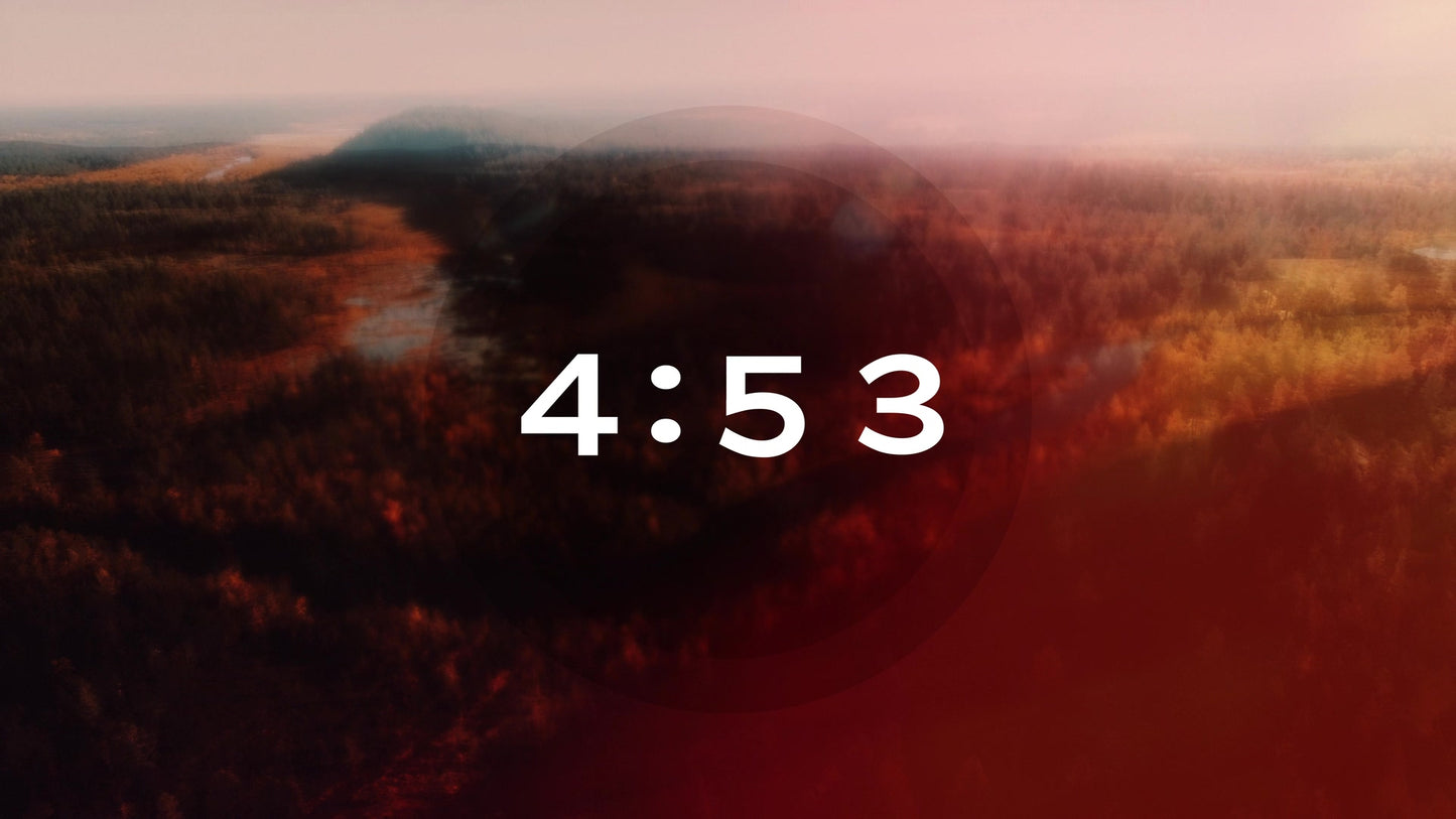Thanksgiving Flight Countdown