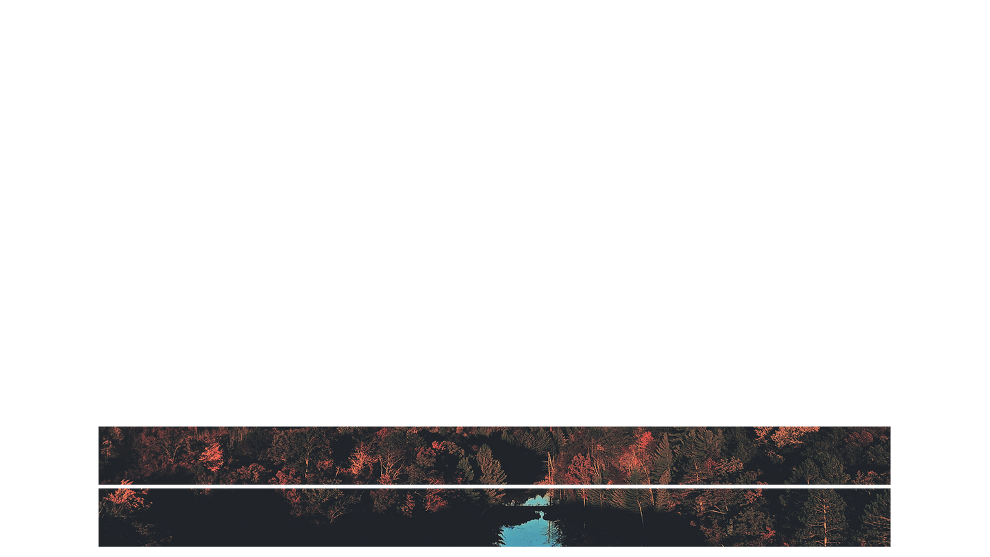 Foliage Remixed Lower Third Blank 02