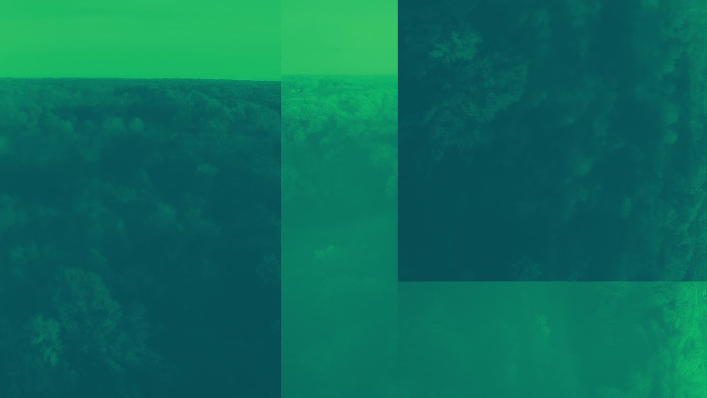 Thanksgiving Flight Forest Alt