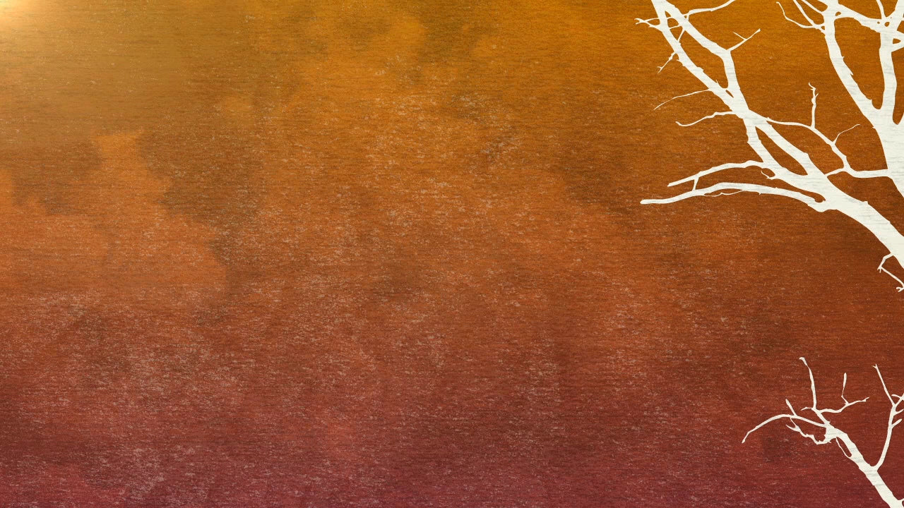 Thanksgiving Clouds 06 Still