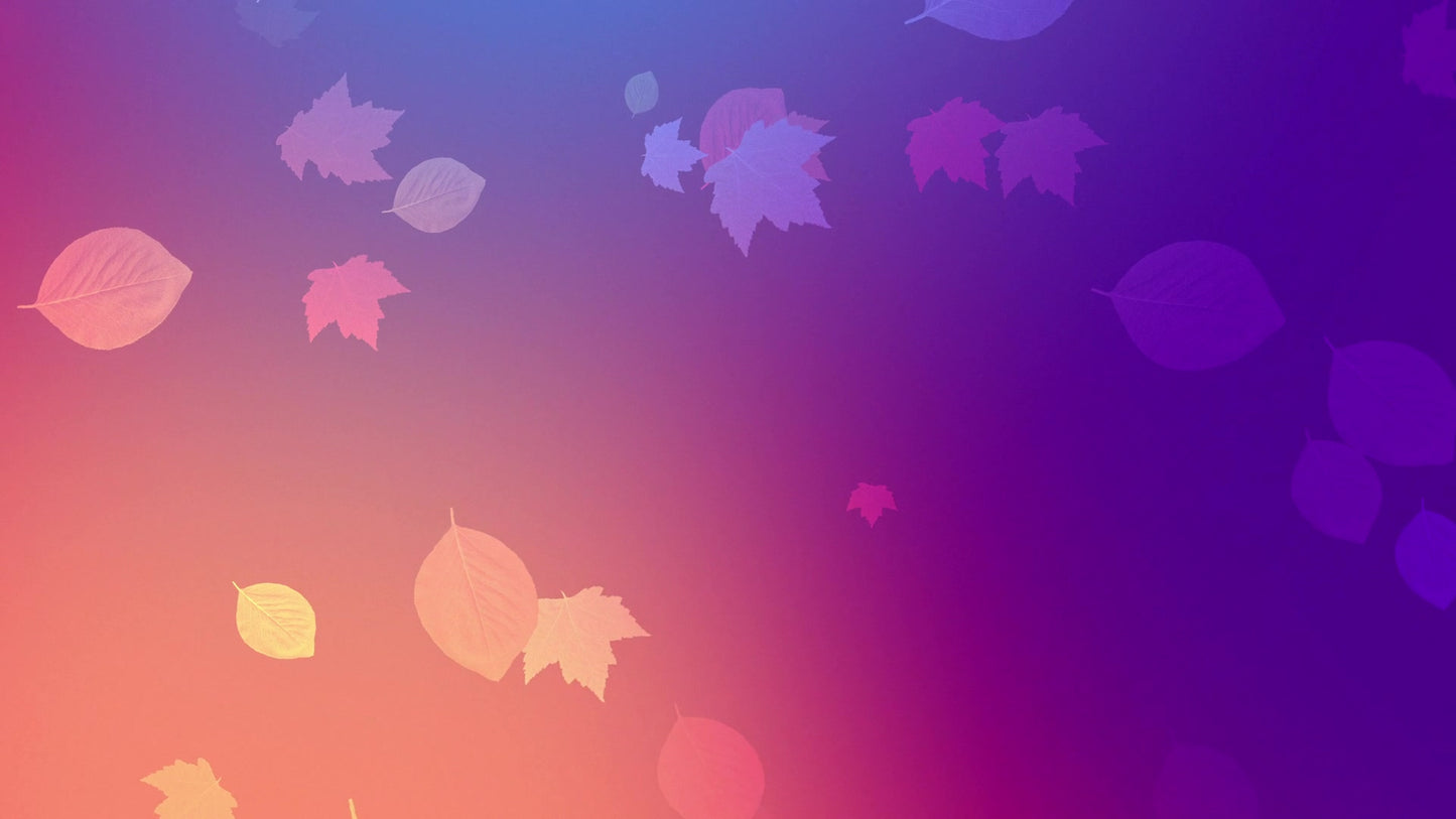 Vibrant Fall 09