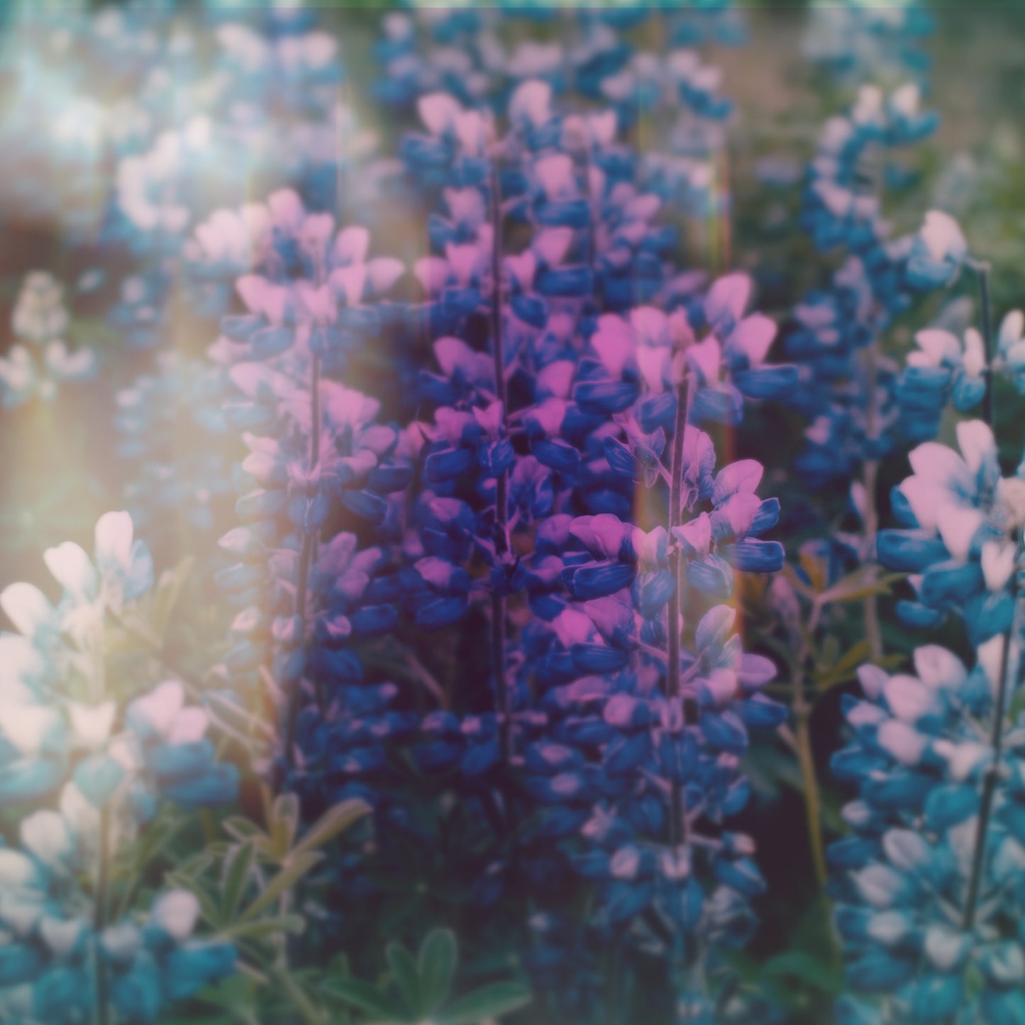 Amazing Grace