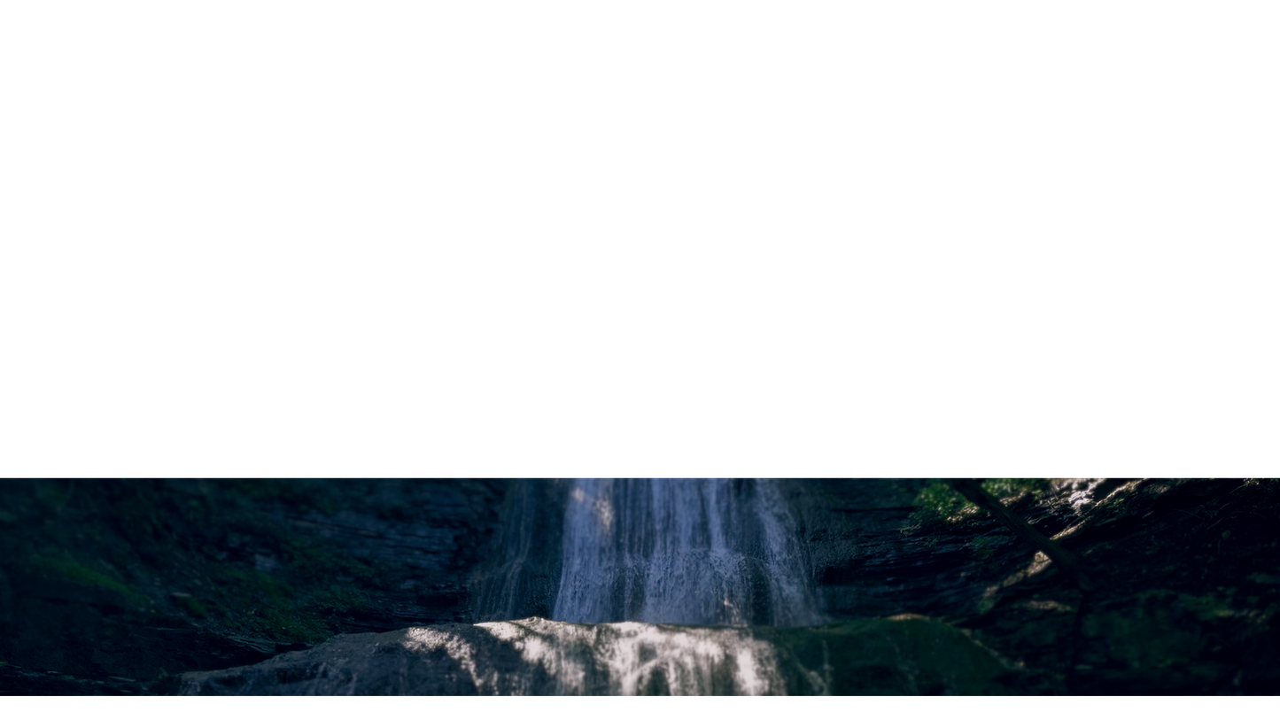 Natures Force Lower Third 8