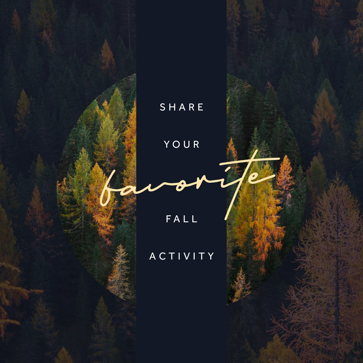 Favorite Fall Activities
