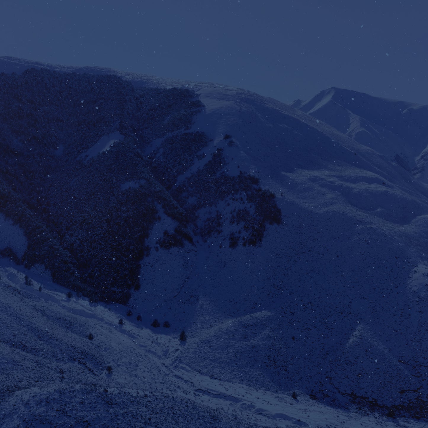 Deep Winter Cross