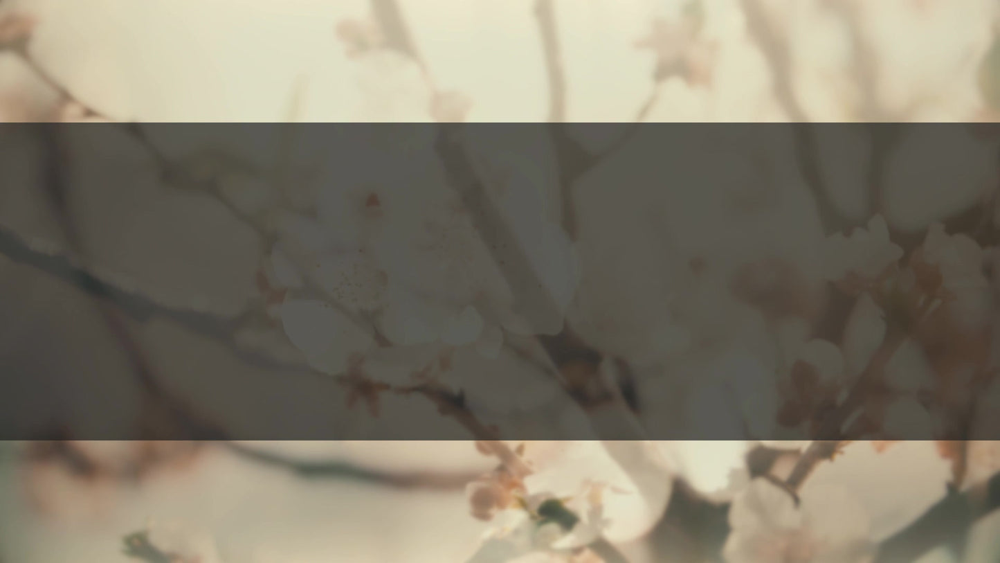 Muted Spring Branch Box