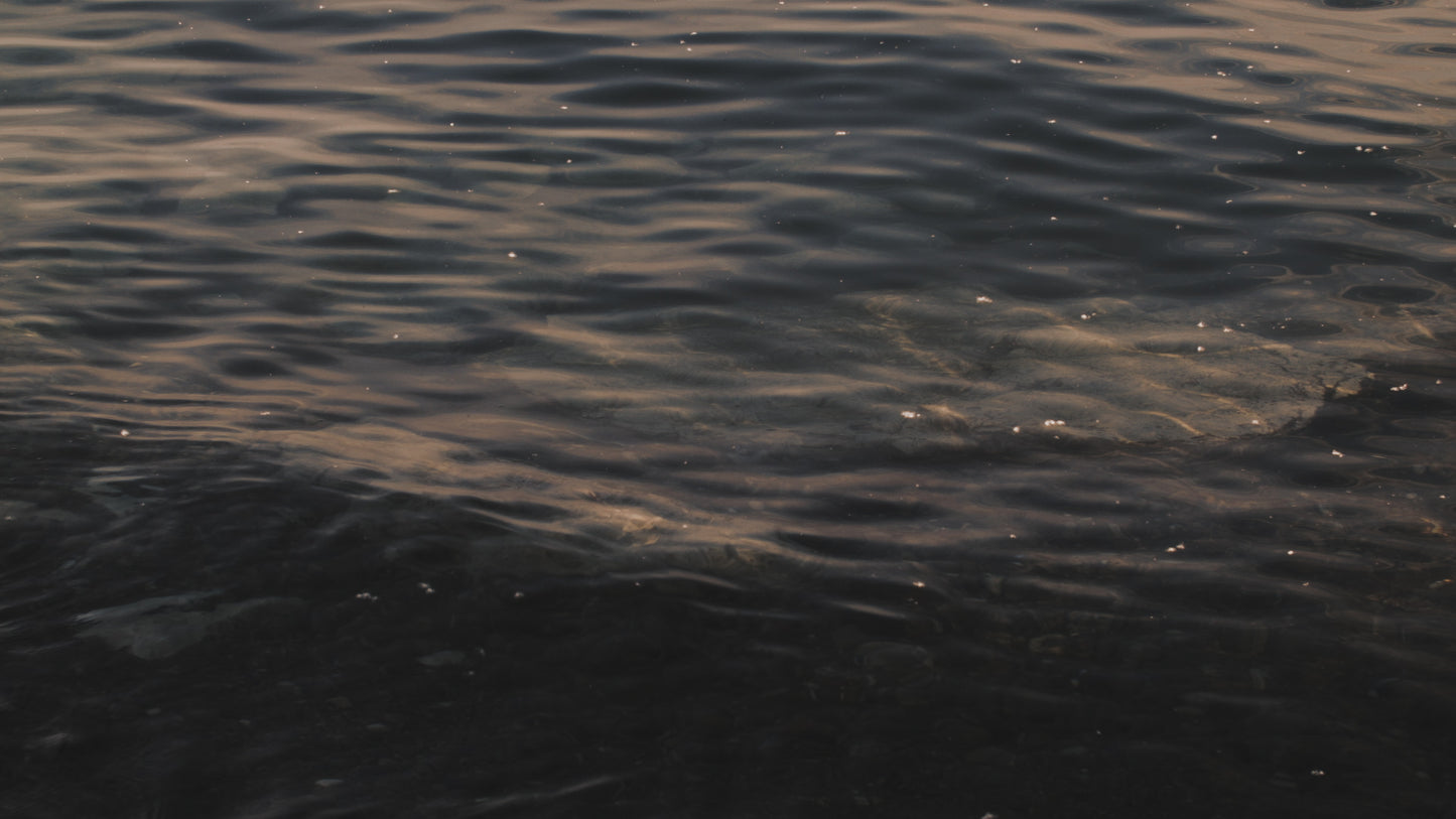 Rocky Shore Submerged