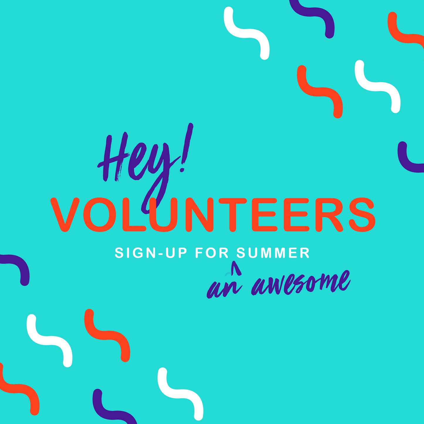 Hey Volunteers Summer
