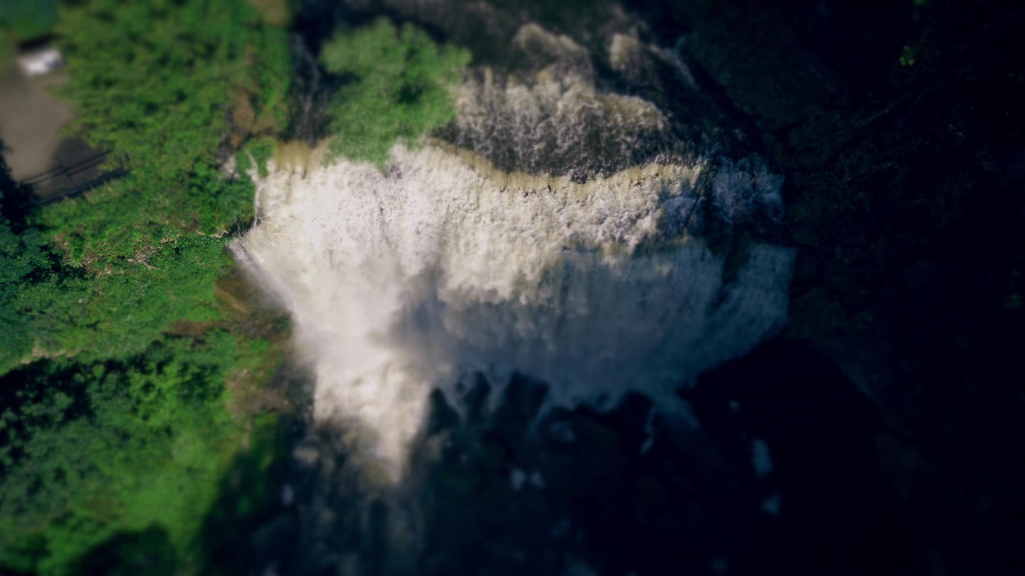 Natures Force 16