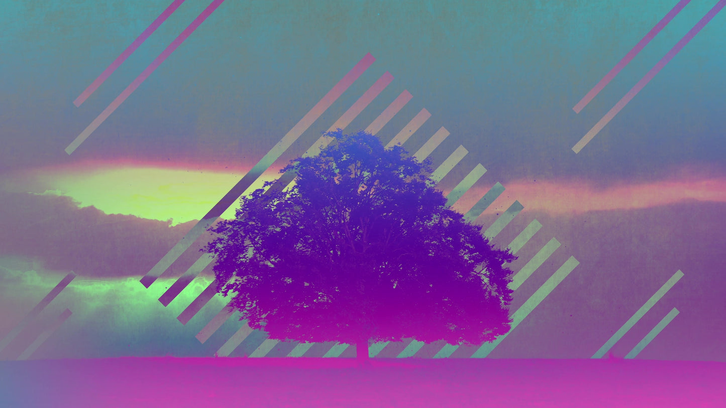 Lonely Tree Rain