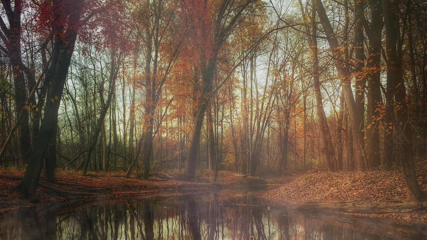 Deep Autumn Pond