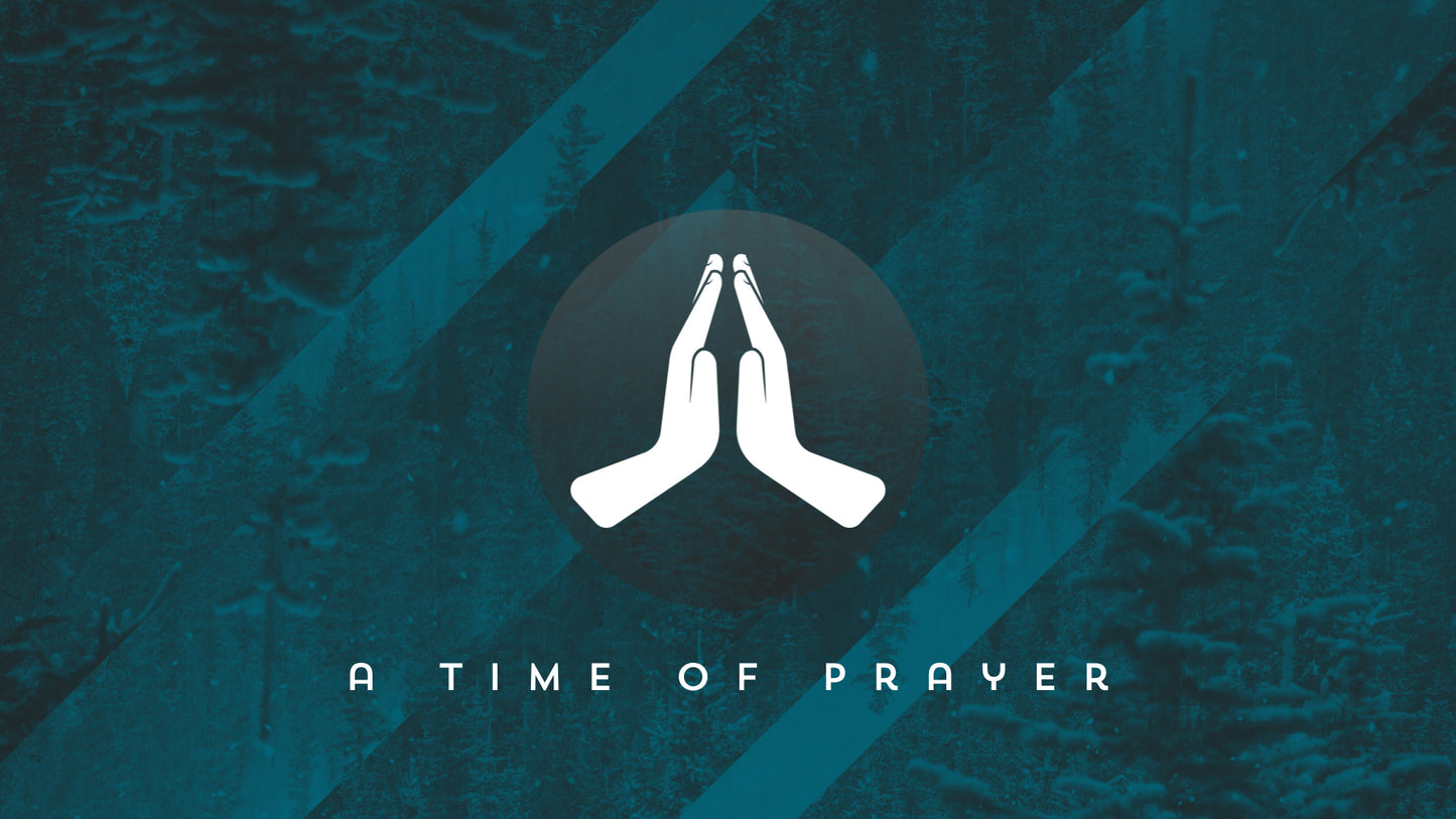 Christmas Forest Prayer Still