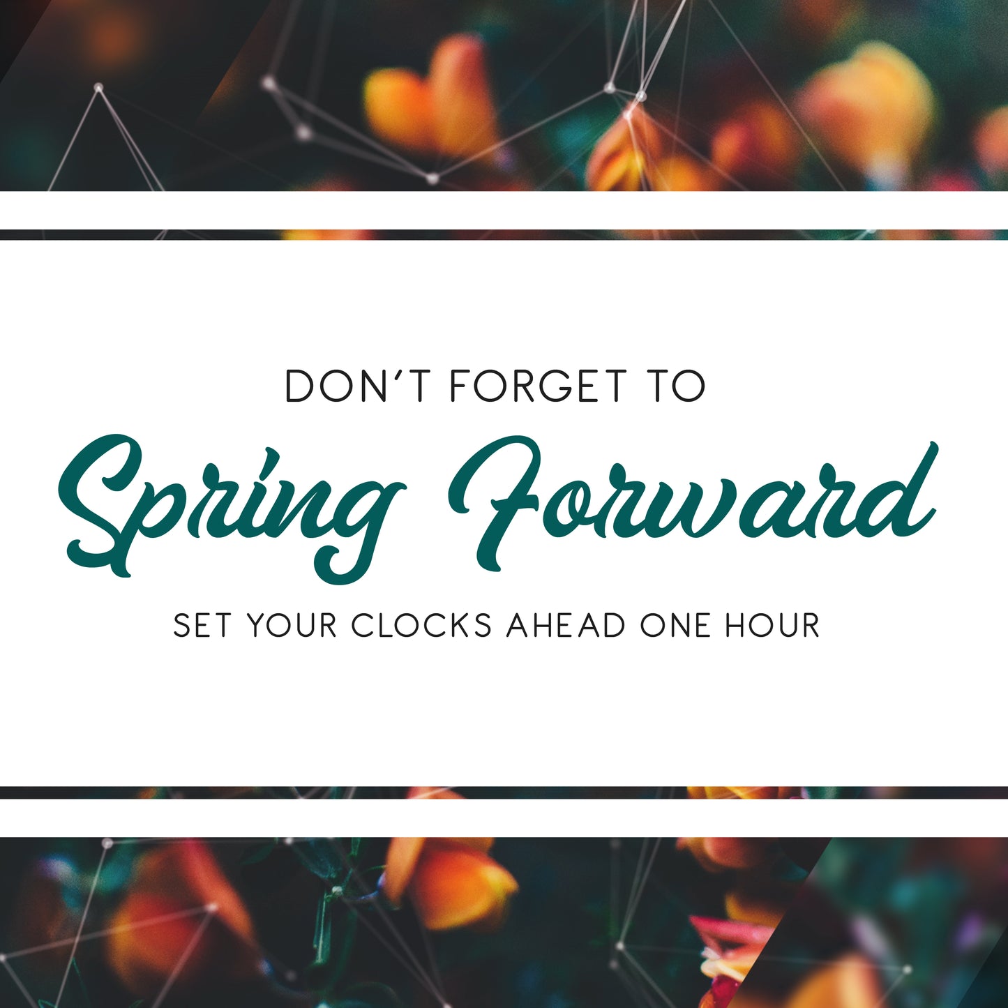 Forward Flowers