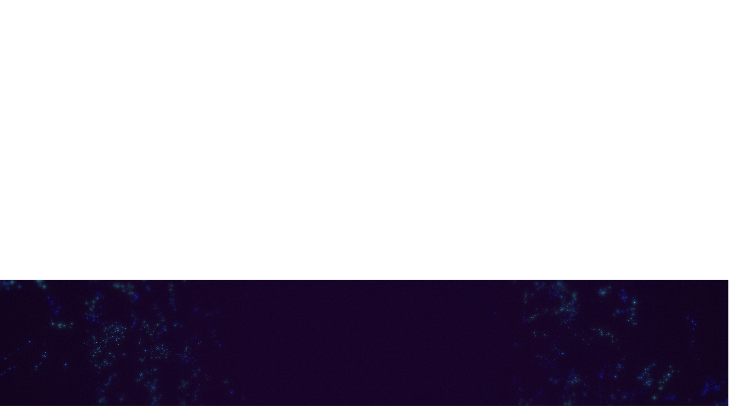 Swarm Lower Third 2