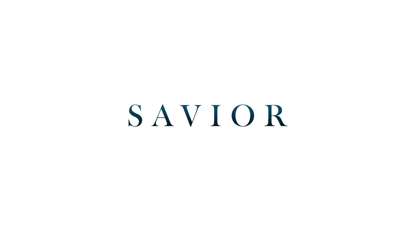 Christmas Sparks Savior