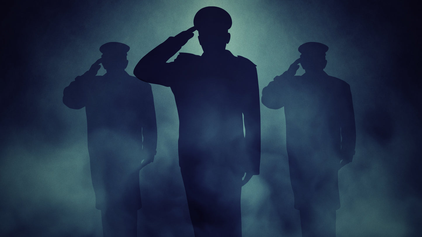 Veterans Salute Blue