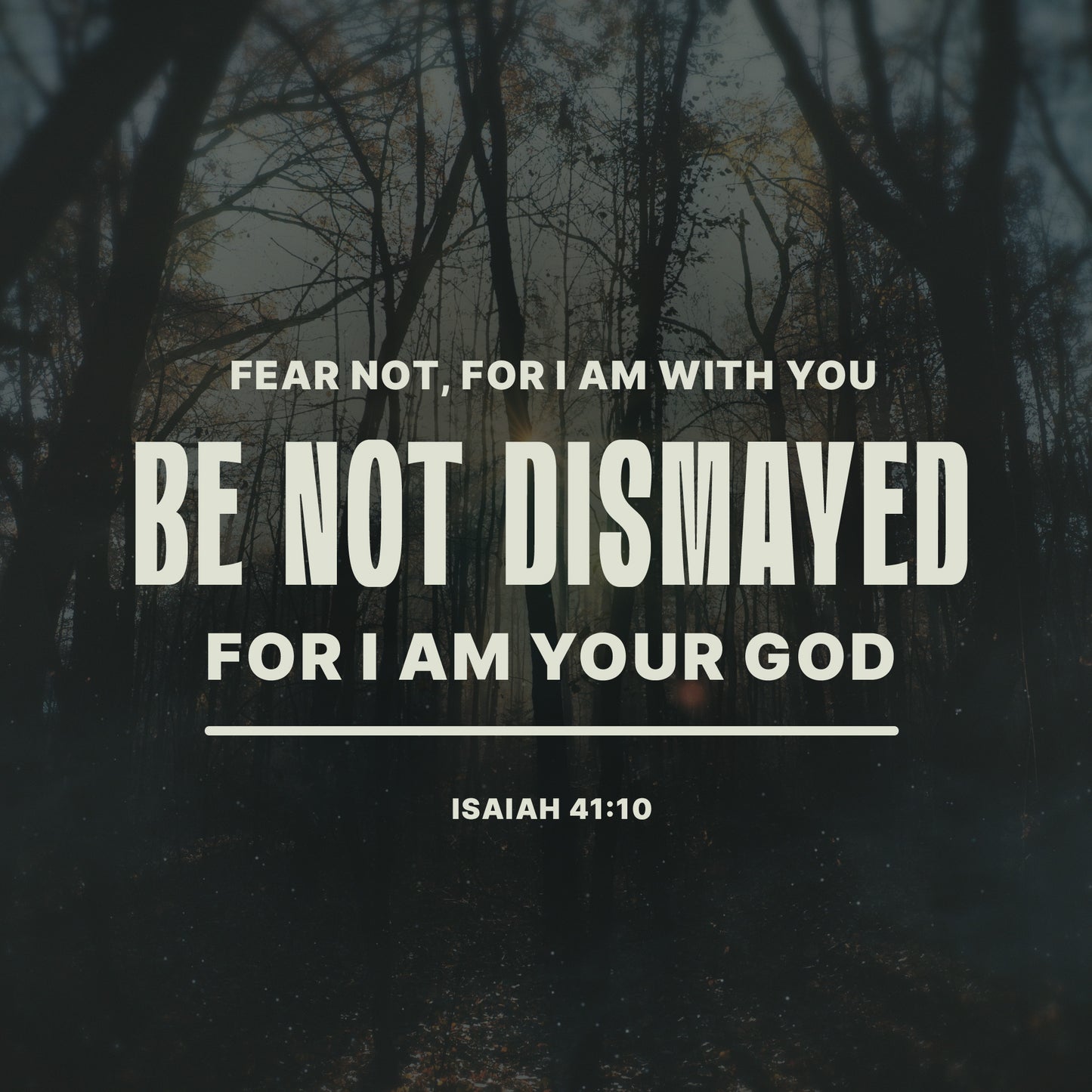 Isaiah 41:10