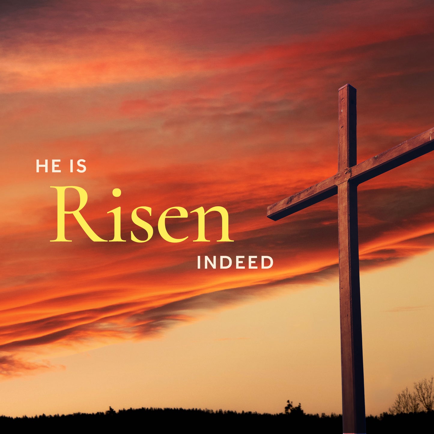 Risen Indeed