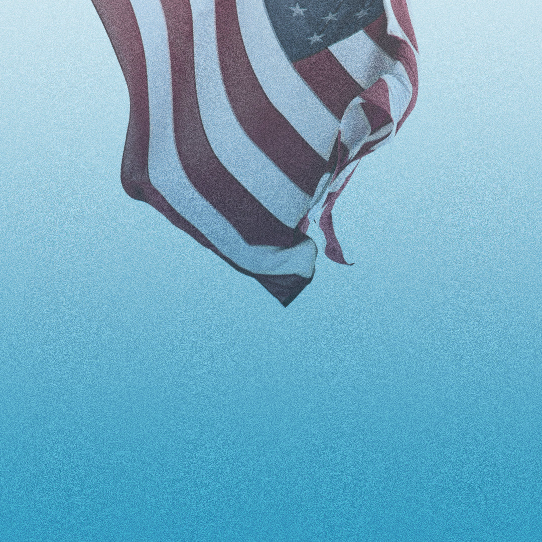 Celebrate Freedom Blank