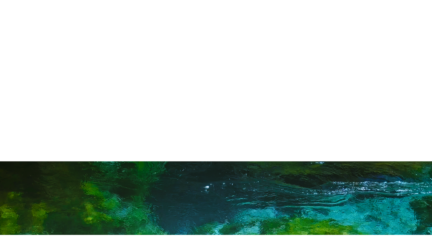 Blue Eye Lower Third 9