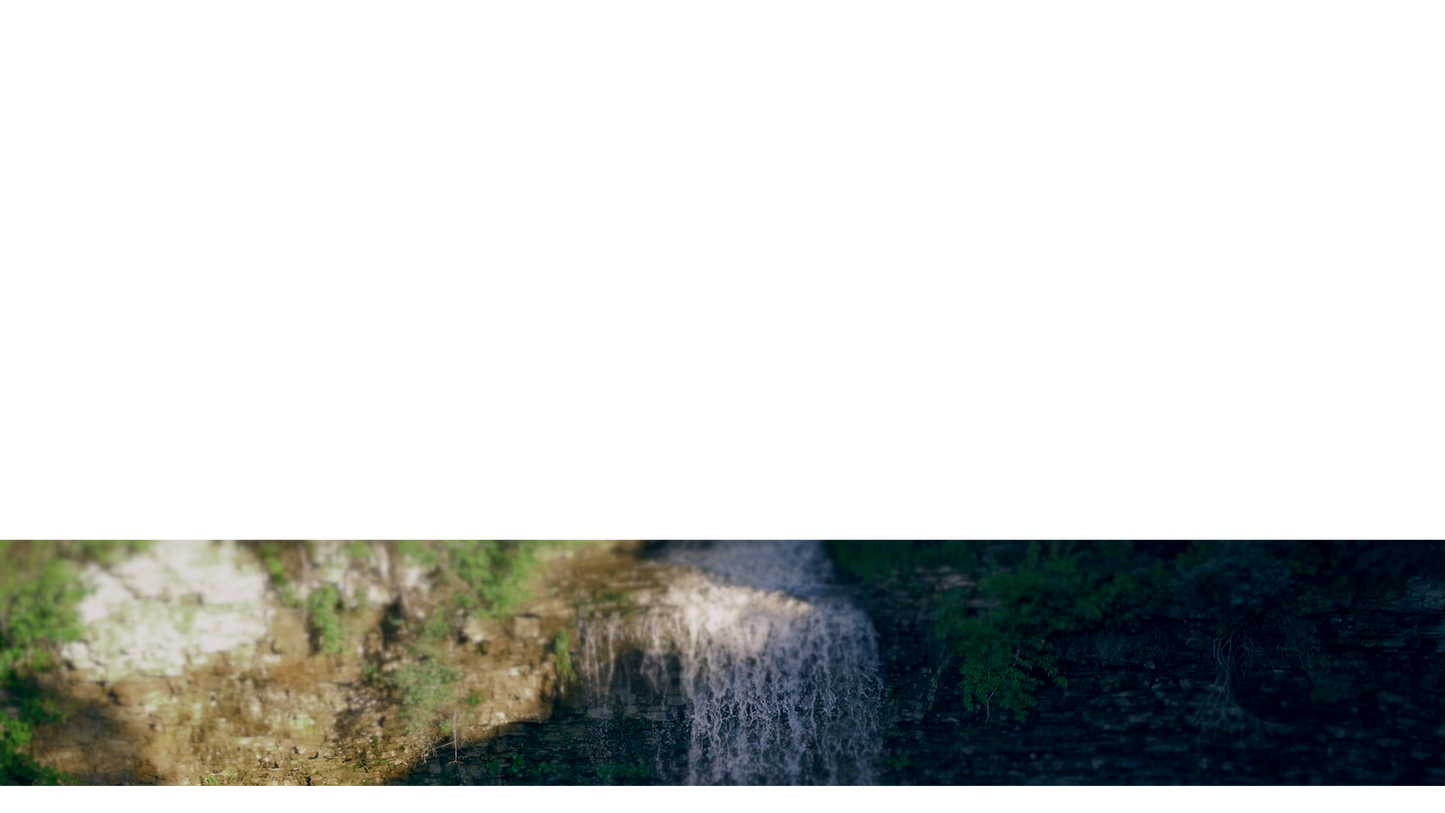 Natures Force Lower Third 1