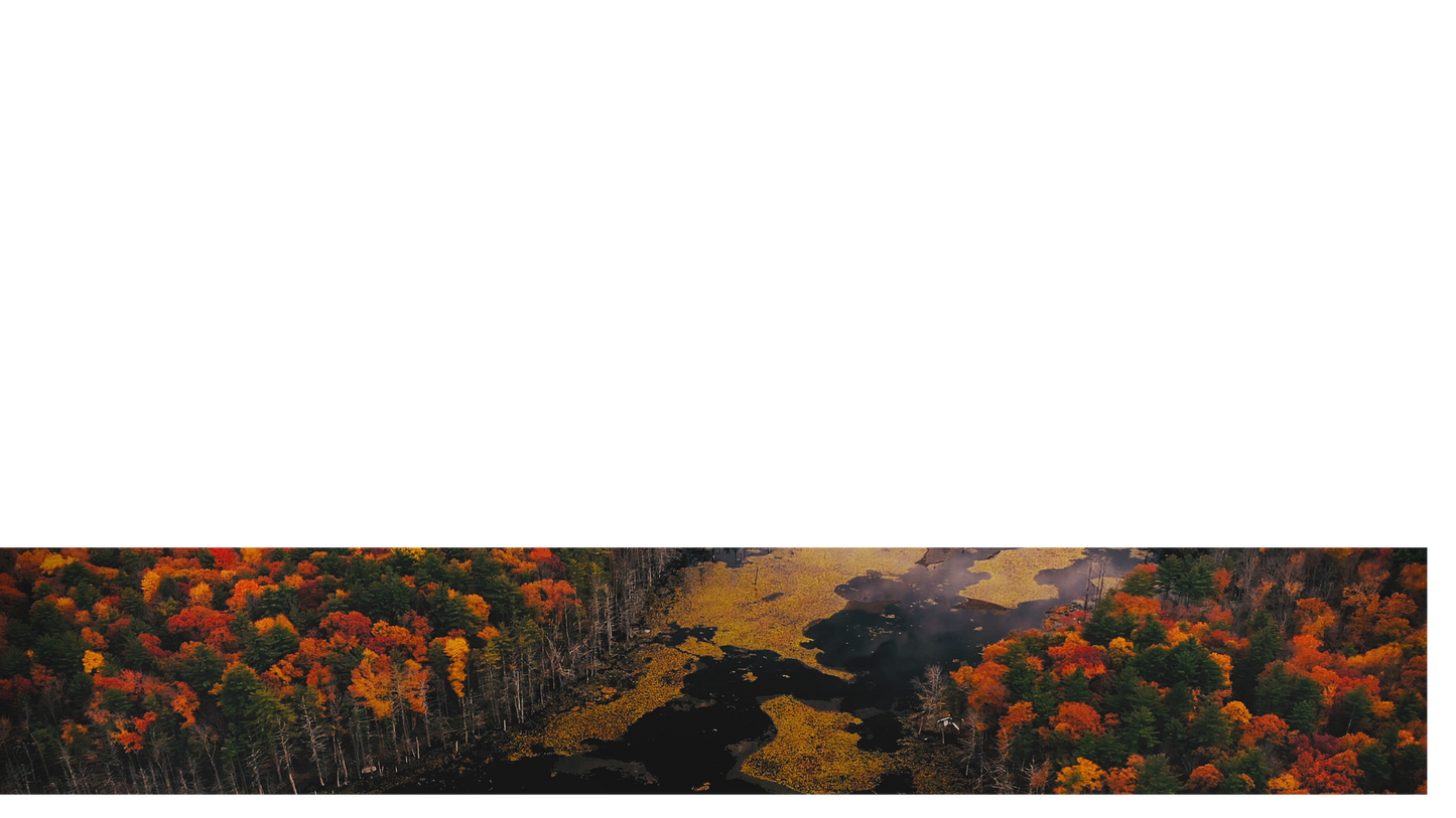 Autumn Colors Lower Third 1
