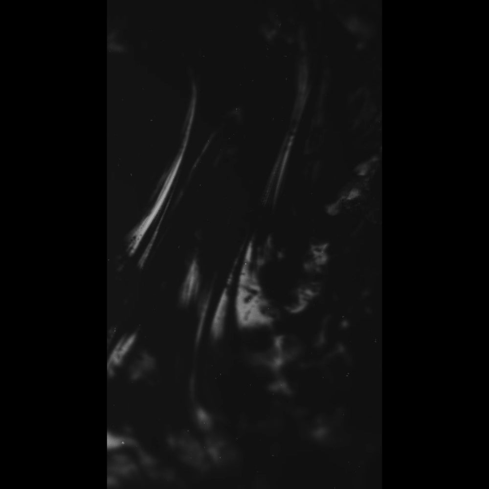 Dark Distortion Prayer Blank Reel