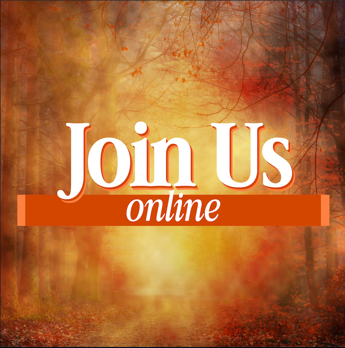 Thanksgiving Light Join Us Online